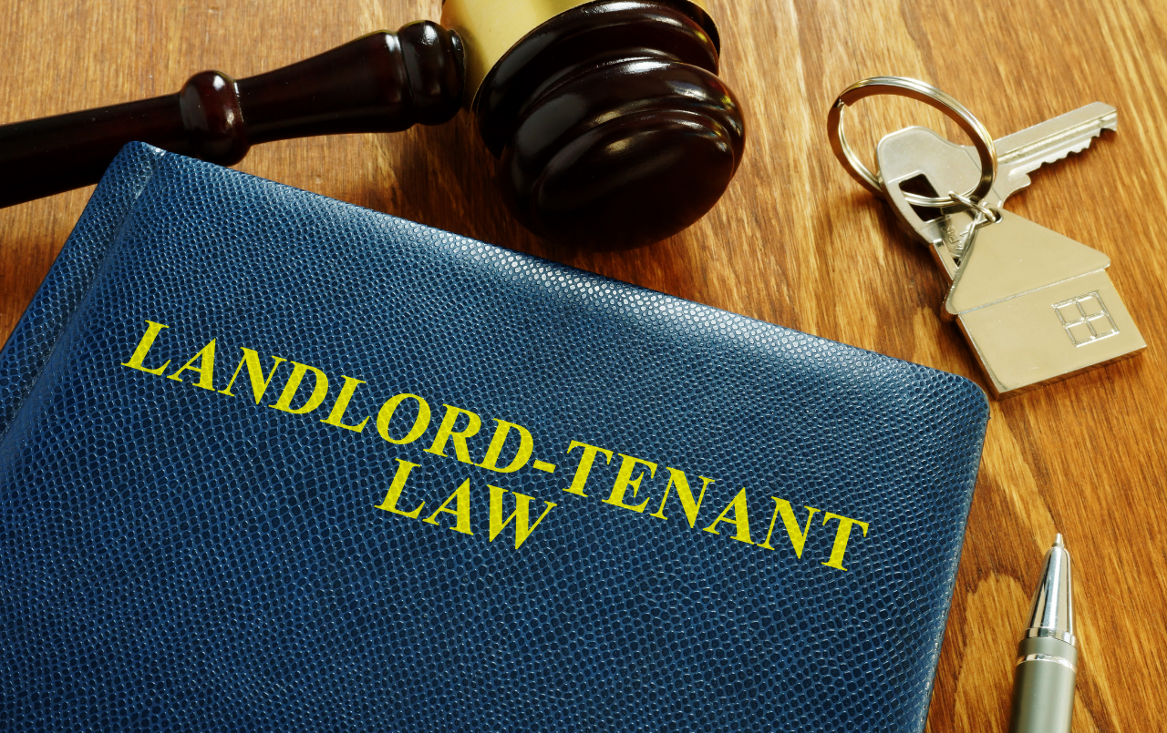 landlord-responsibilities-v-s-tenant-responsibilities